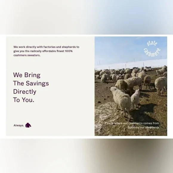 🌟SEE NEW LISTING🌟 🐪 "The State" Cashmere Hoodie in Camel - Picture 8 of 12